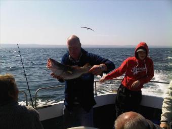 7 lb Cod by Brian Wilson