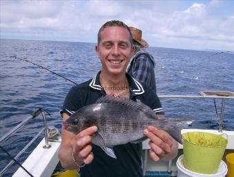 1 lb 14 oz Black Sea Bream by not known