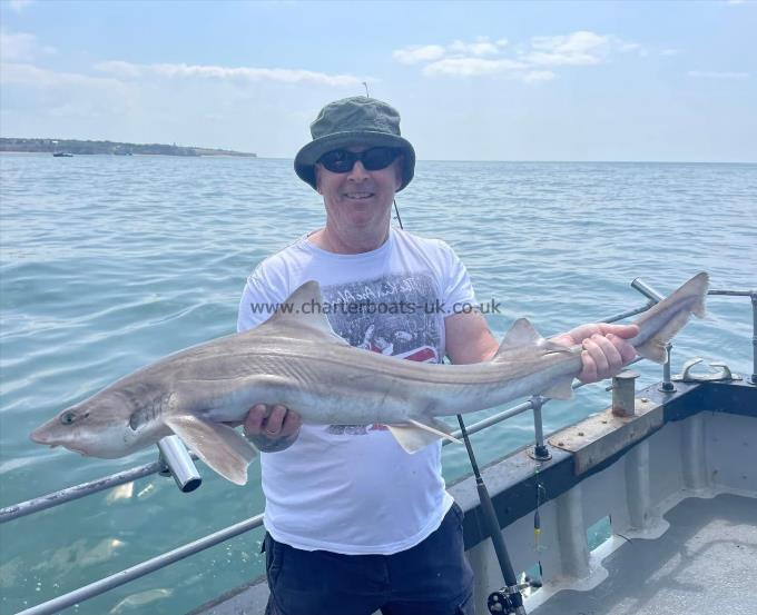 10 lb Smooth-hound (Common) by Unknown