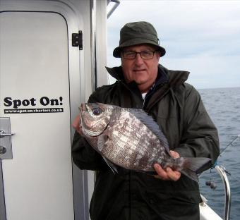 4 lb 7 oz Black Sea Bream by Unknown