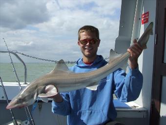 10 lb 11 oz Starry Smooth-hound by scott