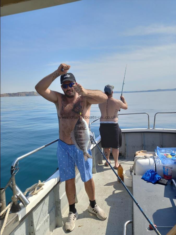 3 lb Black Sea Bream by Unknown