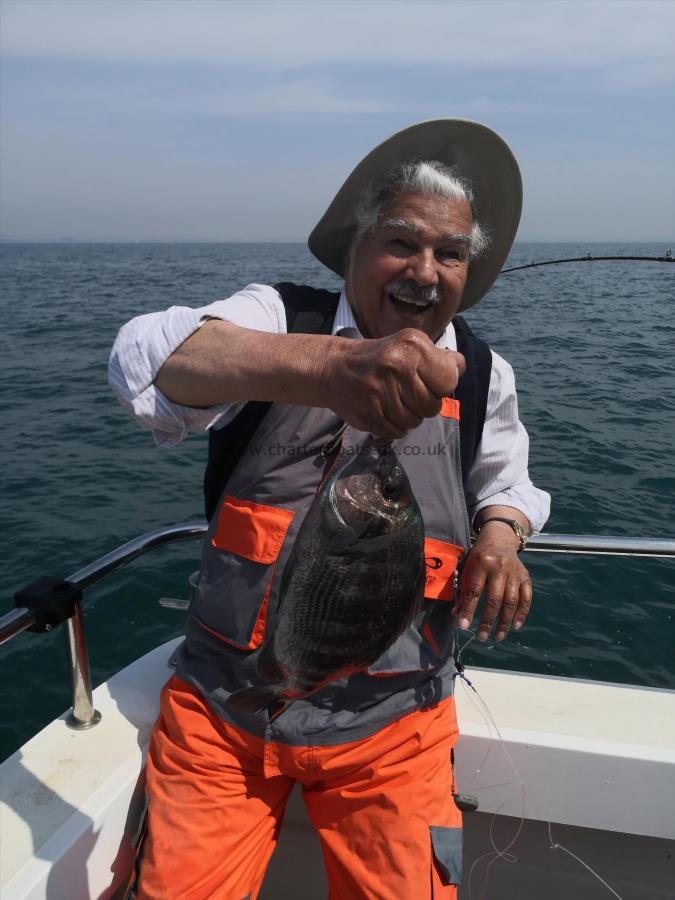 2 lb Black Sea Bream by Farooq