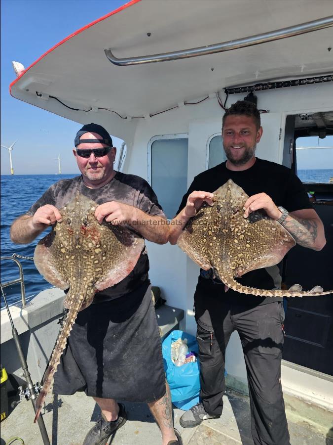 10 lb Thornback Ray by Unknown