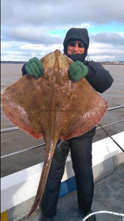 16 lb Blonde Ray by Graham