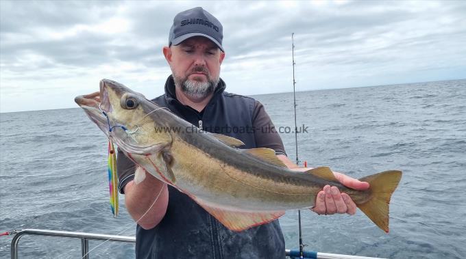 8 lb 2 oz Pollock by Paul