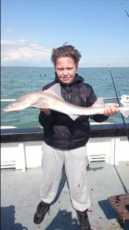 6 lb 7 oz Starry Smooth-hound by Tommy from medway