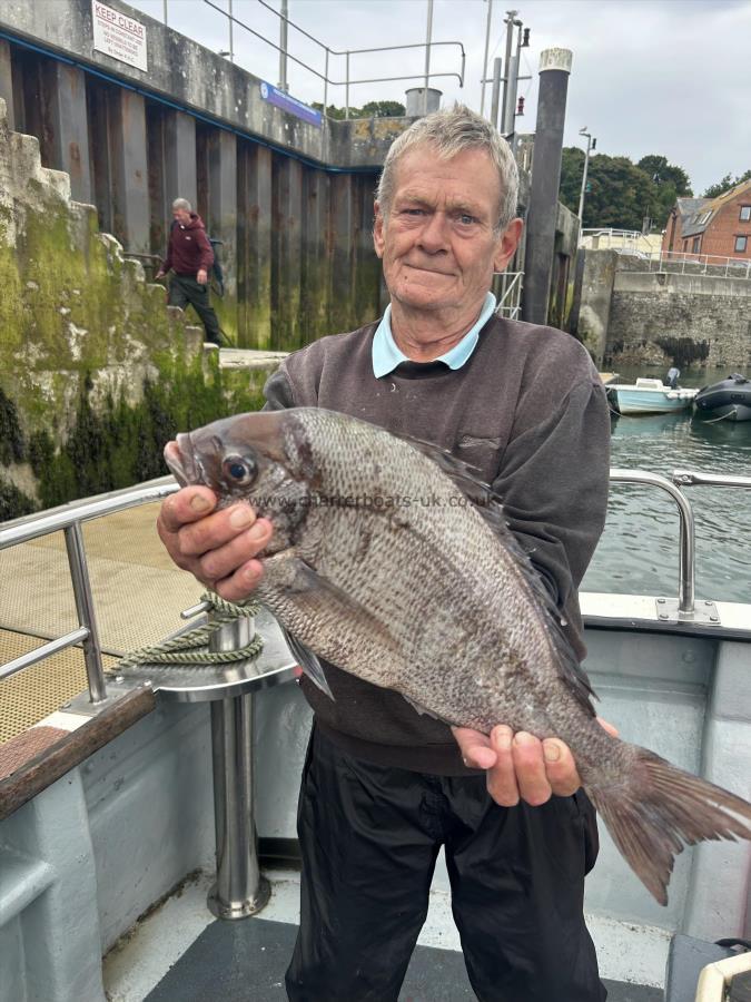 4 lb 11 oz Black Sea Bream by gary