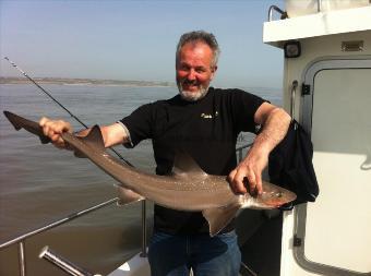 14 lb 5 oz Starry Smooth-hound by paul