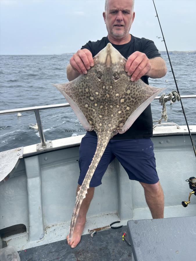 7 lb 7 oz Thornback Ray by allan