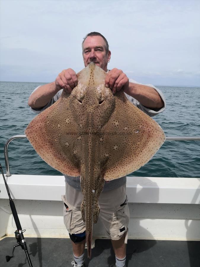 16 lb Blonde Ray by Simon