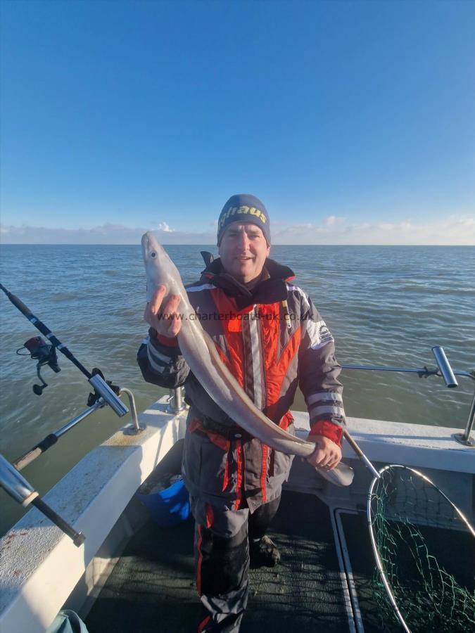 5 lb Conger Eel by David