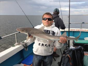 10 lb 13 oz Starry Smooth-hound by Paul