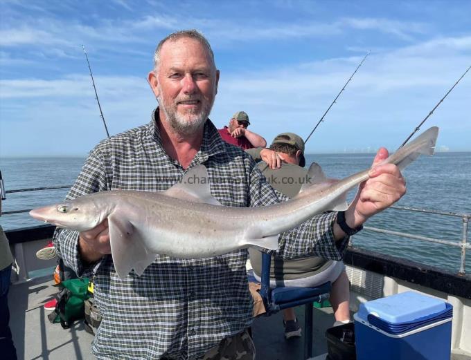 7 lb Smooth-hound (Common) by Unknown