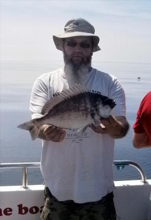 2 lb Black Sea Bream by Steve