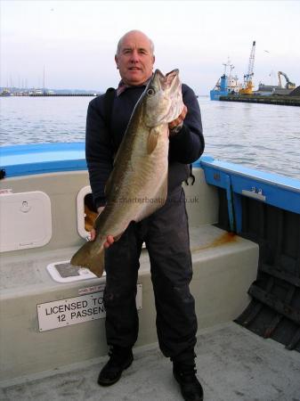 16 lb Pollock by The Skipper!