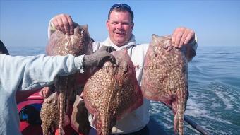 7 lb 6 oz Thornback Ray by Dave from Ramsgate