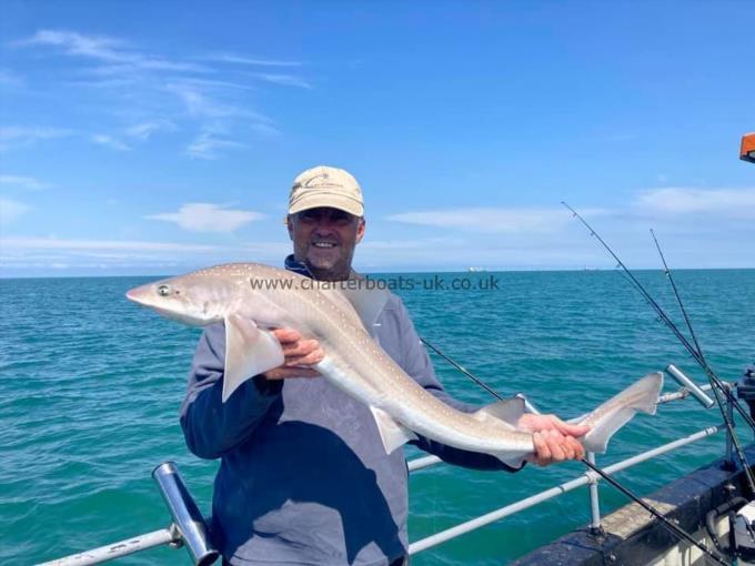 8 lb Smooth-hound by Unknown