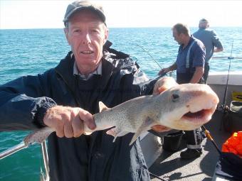 1 lb 10 oz Lesser Spotted Dogfish by Jon Himpfen