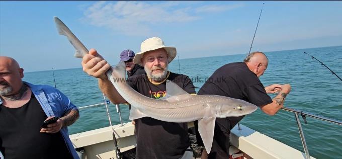 9 lb 1 oz Starry Smooth-hound by Paul