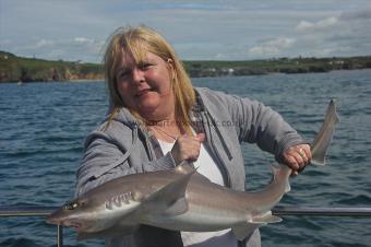 12 lb Starry Smooth-hound by Linda