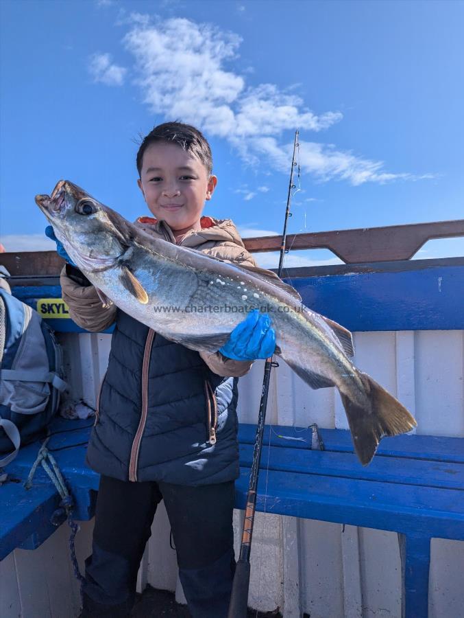 6 lb 2 oz Pollock by Unknown