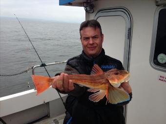 2 lb Tub Gurnard by Anthony Parry