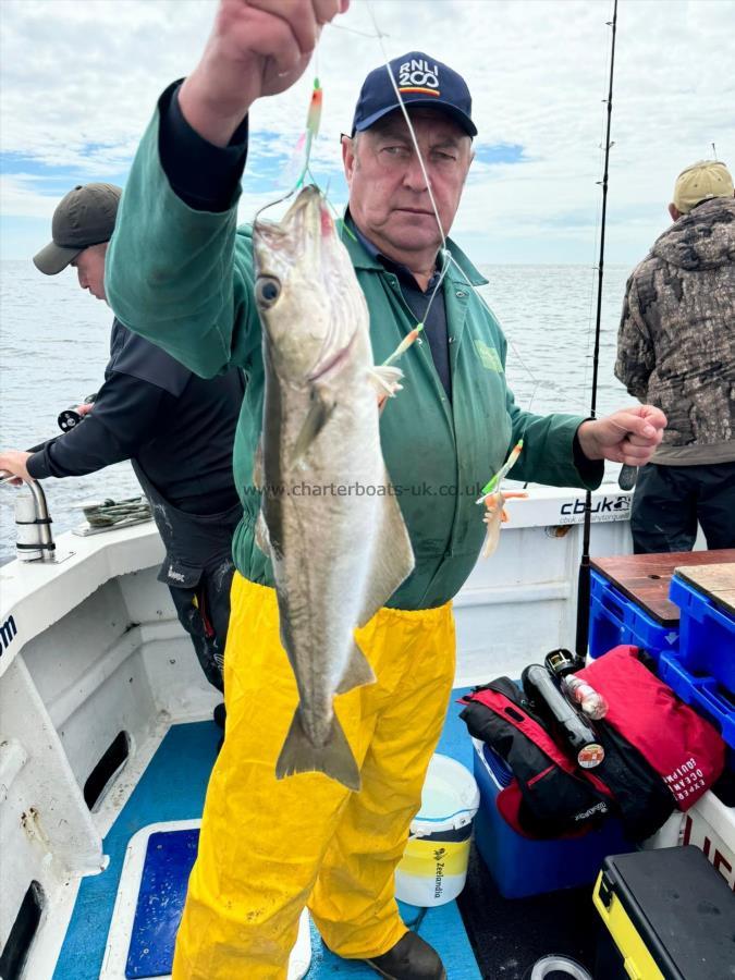 2 lb 8 oz Pollock by Bono.