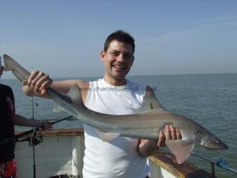 11 lb Smooth-hound (Common) by Unknown