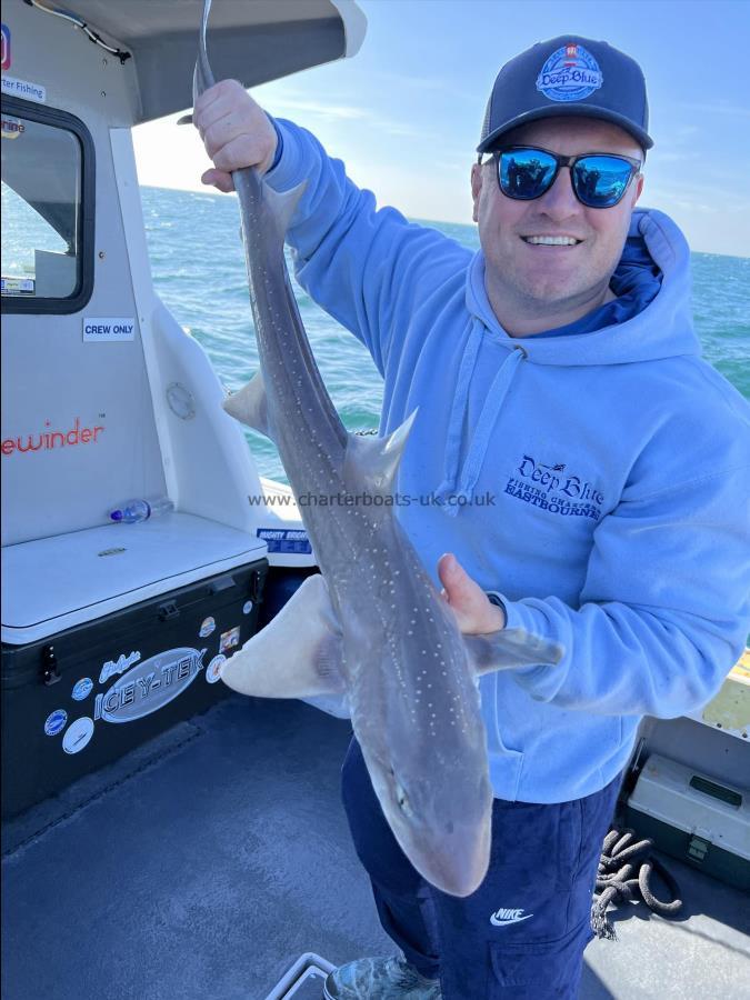 6 lb Smooth-hound (Common) by The Skipper