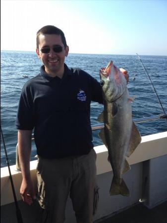 15 lb 8 oz Pollock by Alastair Finch