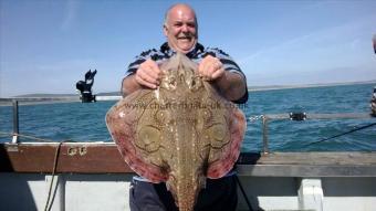 16 lb 8 oz Undulate Ray by Unknown