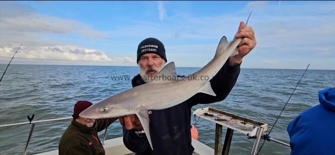 7 lb 9 oz Smooth-hound (Common) by Phillippe