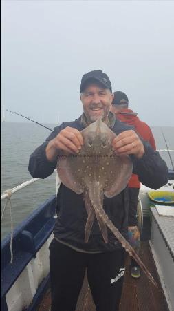 7 lb Thornback Ray by Unknown