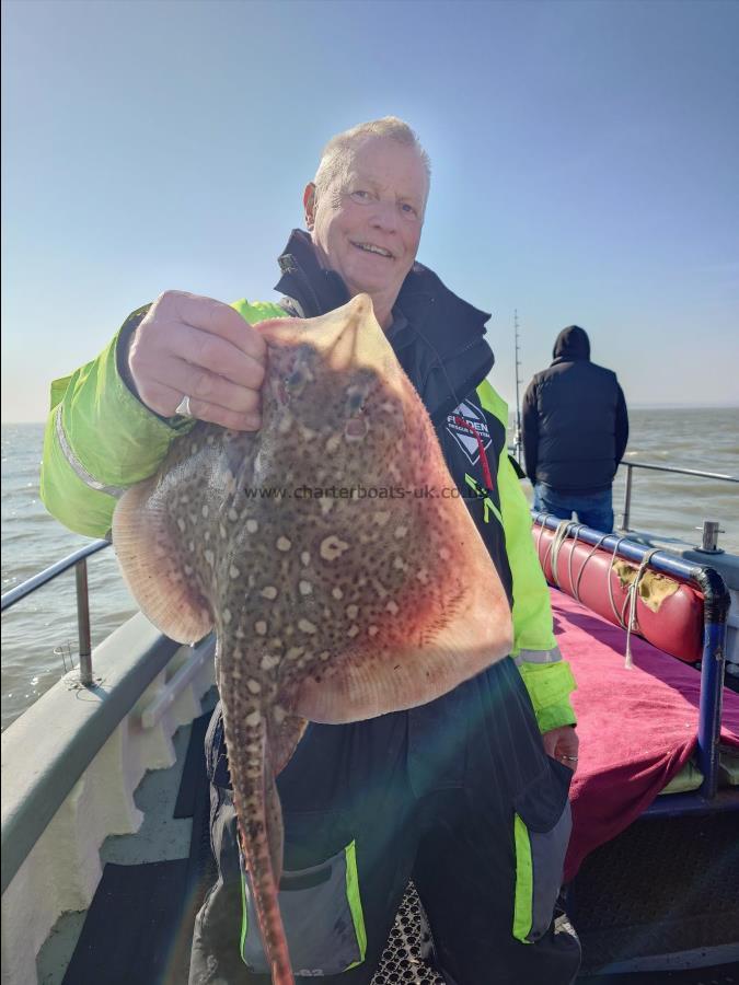 5 lb Thornback Ray by Steve