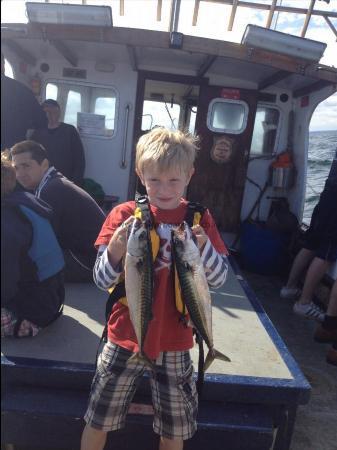 2 lb Mackerel by James Rothwell