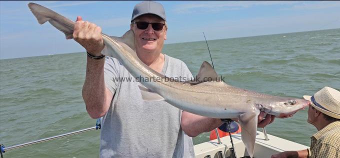 10 lb 6 oz Starry Smooth-hound by Steve