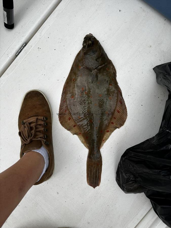 4 lb Plaice by Unknown