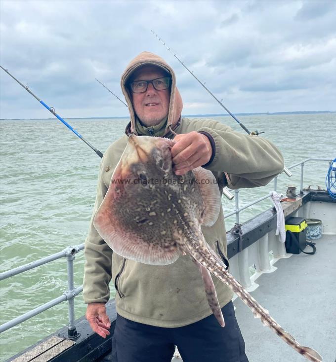 5 lb Thornback Ray by Unknown