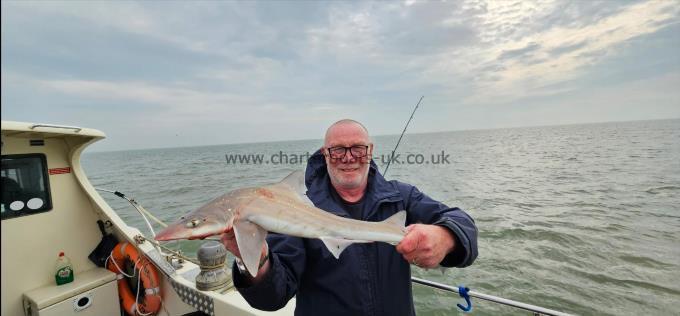 7 lb 4 oz Starry Smooth-hound by Lee