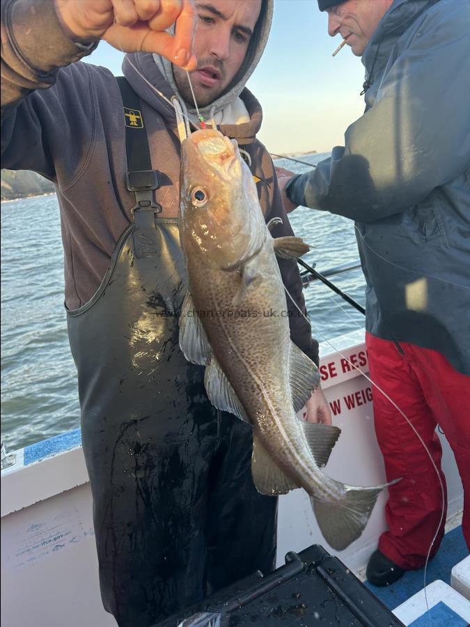 3 lb 12 oz Cod by Fergu.