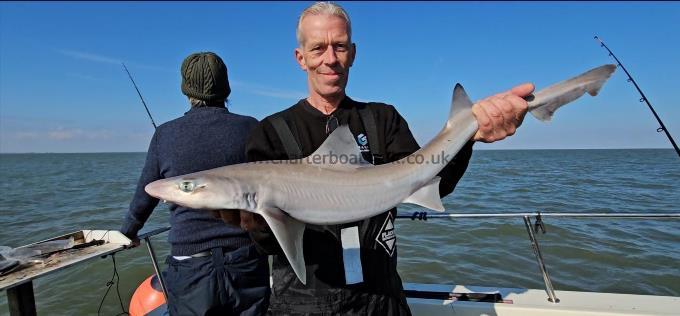 10 lb 2 oz Smooth-hound (Common) by Simon