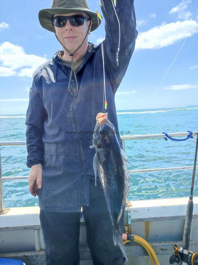 2 lb 4 oz Black Sea Bream by Rich