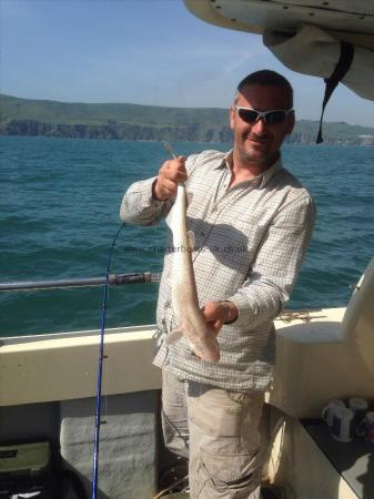 2 lb 12 oz Lesser Spotted Dogfish by Paul Harwood