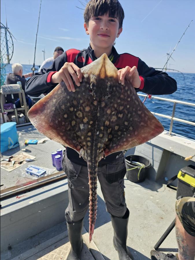 9 lb 10 oz Thornback Ray by Unknown