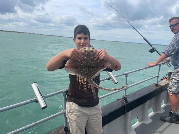 4 lb Thornback Ray by Unknown