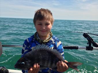 2 lb 3 oz Black Sea Bream by Unknown