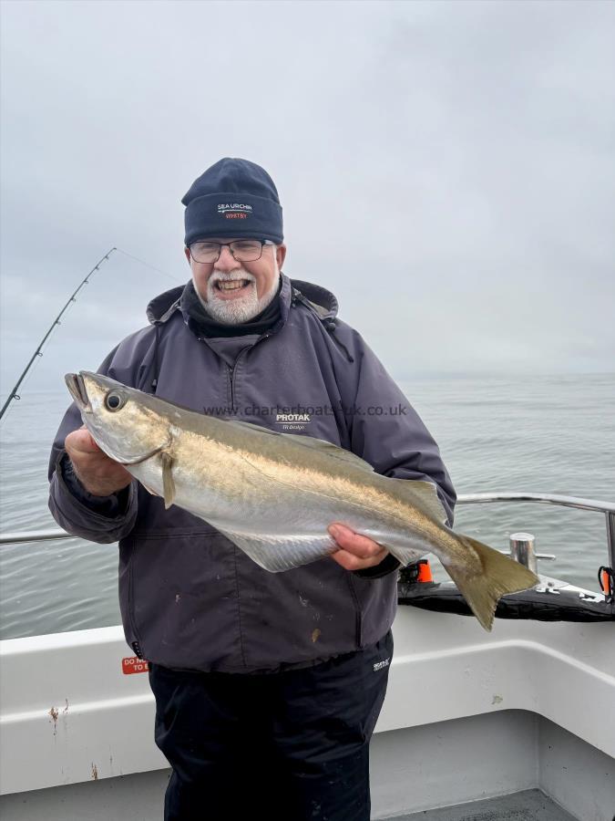 4 lb 8 oz Pollock by Ian Kellock