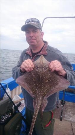 4 lb 6 oz Thornback Ray by Tim Clarkson