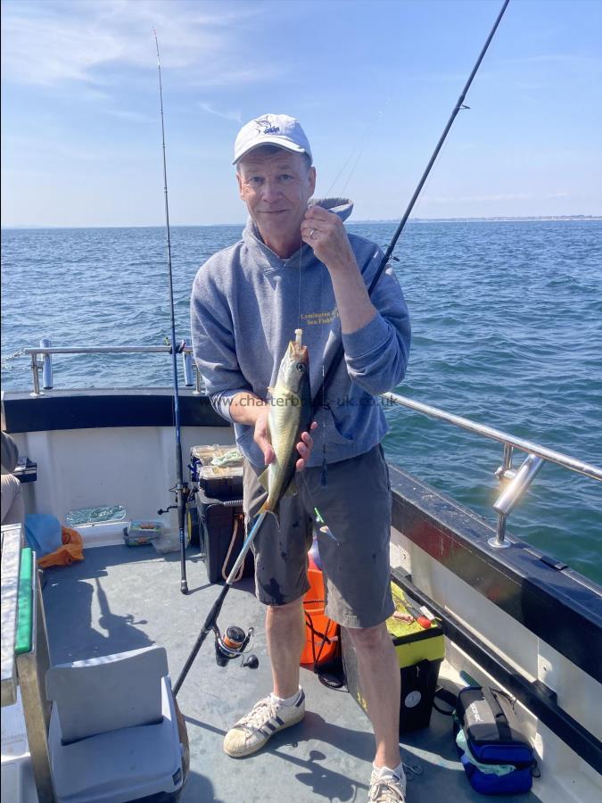 1 lb 10 oz Pollock by Unknown